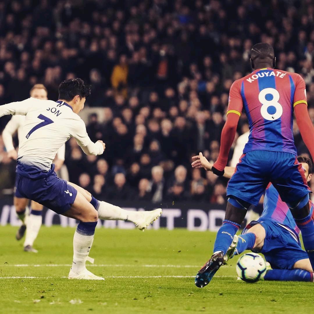 申花球迷一 申花球迷一